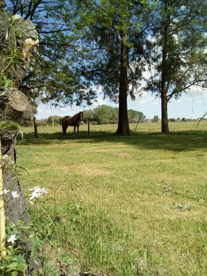 Hotel El Triunfo De Areco San Antonio de Areco Luaran gambar